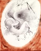 Mythology "Leda and Swan" by Salvador Dali